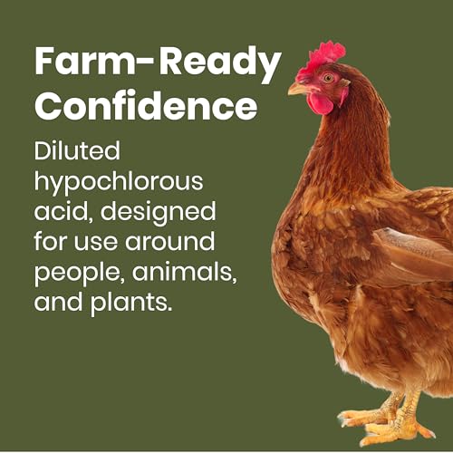 Egg Wash for Fresh Eggs, All-Natural Formula, 32oz Spray | Fresh Chicken & Duck Eggs, Hypochlorous Acid, Remove Dirt, Food Safe, Fragrance-Free, Non-Toxic Cleaner, No Chemical Residue - size: 32 Fl Oz (Pack of 1)
