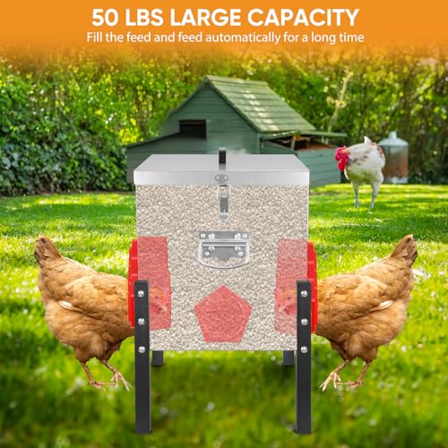 TGEYD 50 lb Heavy Duty Chicken Feeder, No Waste Galvanized Poultry Feeder with Locking Lid for Outdoor Chickens, Ducks & Geese - color: silver