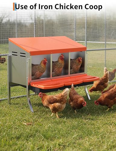 Metal Chicken Nesting Box with Easy-Collect Tray & Lid – 3/4/2x2 Compartment Heavy Duty Roll Away Nesting Boxes for Chickens, Wall Mount or Freestanding, Galvanized Steel Hen Laying Box for Coop