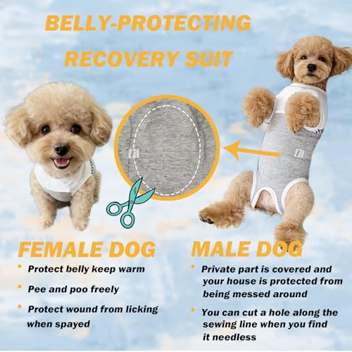 Dog Surgical Suit - Recovery Onesie for Dogs After Surgery, Spayed Female/Male Puppy, Breathable Anti-Lick Clothes, Alternative to Cone(Grey and White-XXS) - color: grey and white, size: XX-Small