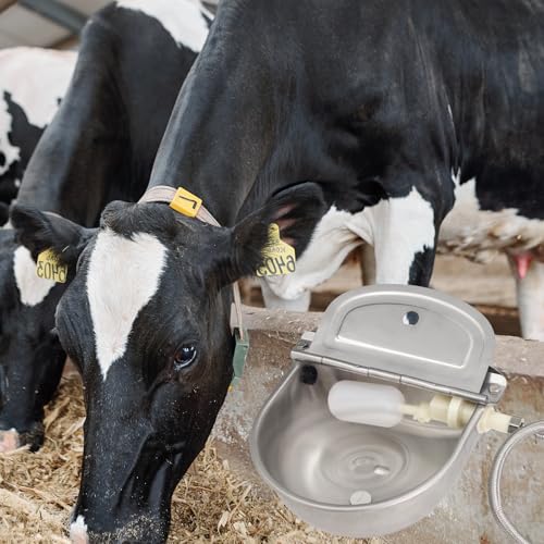 304Stainless Steel Automatic Dog Waterer with Float Valve 3/4'' Water Hose | Wall Mount Automatic Animal Watering Bowl Livestock Dispenser Horse Dog Cow Water Bowl
