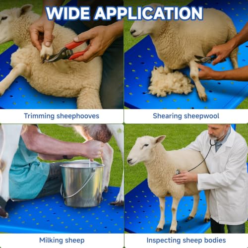 Goat Milking Stand with Ramp, 600LBS Foldable Livestock Trimming Platform, Metal Grooming Stand with Adjustable Headpiece & Stainless Steel Feeder for Nubian & Dwarf Goats
