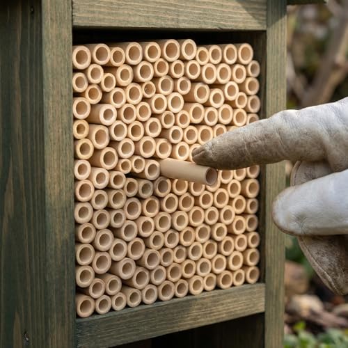 Balacoo Mason Bee Nesting Tubes Refill 200 Pack Reed Inserts | Reed tubes, replacement liners, bee house refill, garden use, solitary bee support, confirm tube size before purchase
