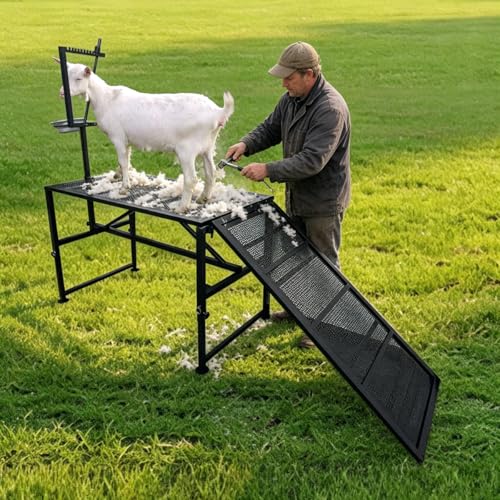 Adjustable Metal Goat Milking Stand，600LBS with Ramp & Feed Bin | Heavy duty livestock organizer suitable for goats, sheep and lambs for daily milking, grooming and hoof trimming on farms.