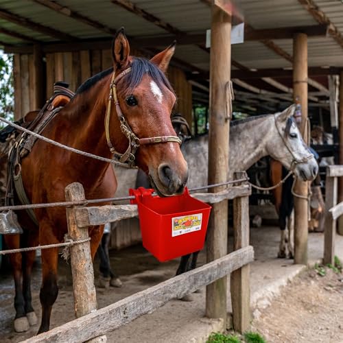 Little Giant® Plastic Hook Over Feeder | Mountable Livestock & Pet Feed Bucket | Horse Feed Bucket | Made in USA | 15 Quarts | Red - color: Red, size: 15 Quart