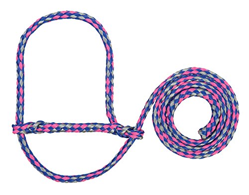 Weaver Livestock Poly Rope Sheep Halter, Modern Style Braid Sheep and Goat Rope Halter, Adjustable Lamb Halter Lead, Livestock Sheep Showing Supplies - color: Royal Blue/Coral/Gray