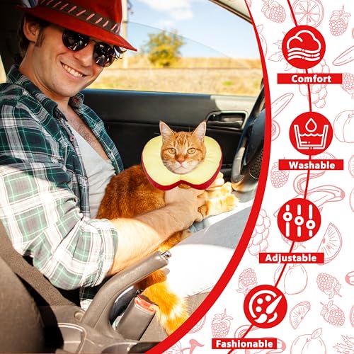 Cat Cone Collar Soft, Adjustable Cat Recovery Cone (Apple, L) | Stop Licking, Cute Kitten Donut Collar After Surgery, Elizabethan Collars for Kittens, Lightweight Cats Neck Cones - color: Apple, size: Large