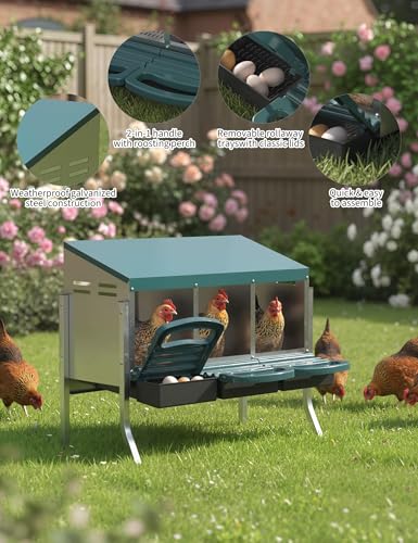 Metal Chicken Nesting Box with Easy-Collect Tray & Lid – 3/4/2x2 Compartment Heavy Duty Roll Away Nesting Boxes for Chickens, Wall Mount or Freestanding, Galvanized Steel Hen Laying Box for Coop