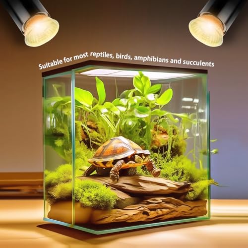 50W UVA Bulbs, 6-Pack Light Turtle Heat Lamp for Reptiles and Amphibian Tanks, Terrariums and Cages, Fit E26 Heat Reptile Lamp,Works with Various Lamp Fixtures