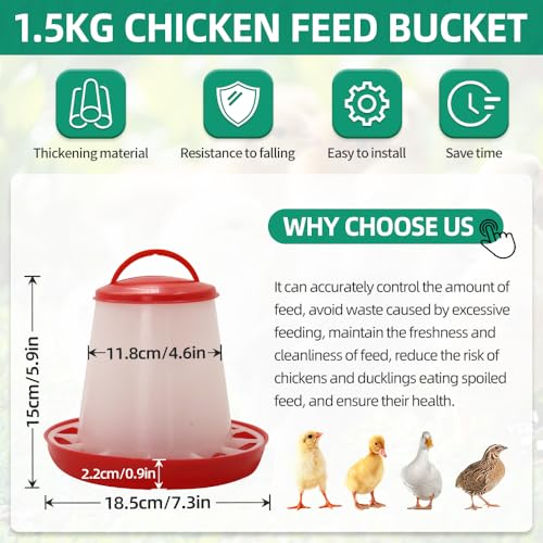 Chick Feeder and Drinker kit Hanging 3.3 Pound Chicken Feeder & 1.58 Quart Poultry Waterer for coturnix Quail. Broilers Ducks and Geese