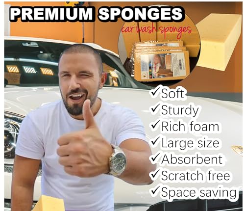 Car Wash Sponges, Extra Soft Coral, 8.3x4.38x2.8 inches,