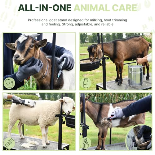 Goat Stand with Adjustable Headpiece & Legs, Goat Milking Stand with Feeder, Rails & Wheels, Stanchion for Grooming & Hoof Trimming, Sheep Stand for Shearing Heavy-Duty Steel Platform, Black - color: BLACK