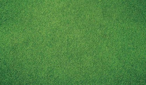 Kate Green Grass Rubber Photography Floor Mat 8x5ft | Grassland Floor Backdrop Newborn Photography Props for Professional Photo Shoot Studio - color: Green Grass, size: 8x5ft
