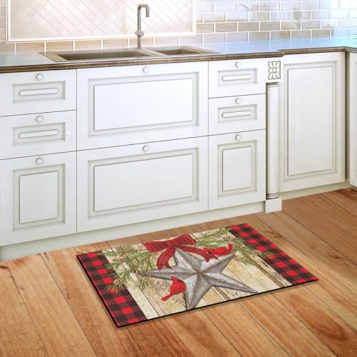 Briarwood Lane Christmas Doormat 30x18 Indoor Outdoor Festive Barnstar Winter for Christmas Doormat