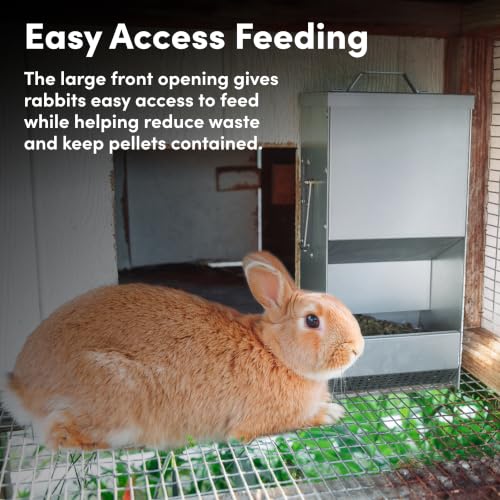RAC Paws by RentACoop 5 lb. Metal Rabbit Feeder