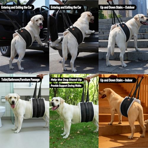 Dog Lift Harness,Dog Sling for Back Leg,Senior,Disabled Dog,ACL Brace(M) | Comfortable Adjustable Dog Carry Harness with handle, Leg Support Aid for Elderly Dogs with Hip, ACL Brace,Senior,Injured - size: M：30 - 80 Lbs