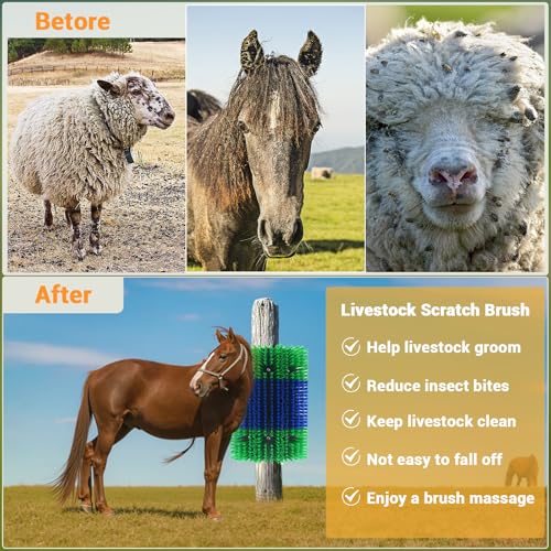 2PCS Livestock Scratching Brush,Extra Large Size Livestock Scratching Brush, Massage Grooming Kit for Cattle, Sheep, Pig, Animal Back Scratching & Itch Relief, Blue-Green - color: Blue-Green