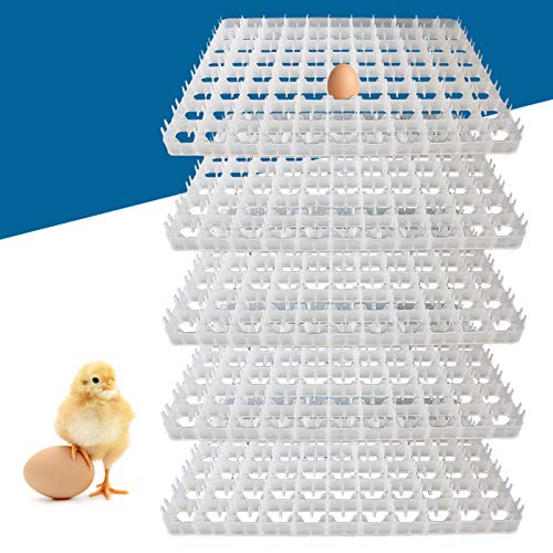 5Pcs 88 Eggs Incubator Tray, Chicken Duck Tray Egg Hatcher Storage Container for Auto Incubator Hatch Machine