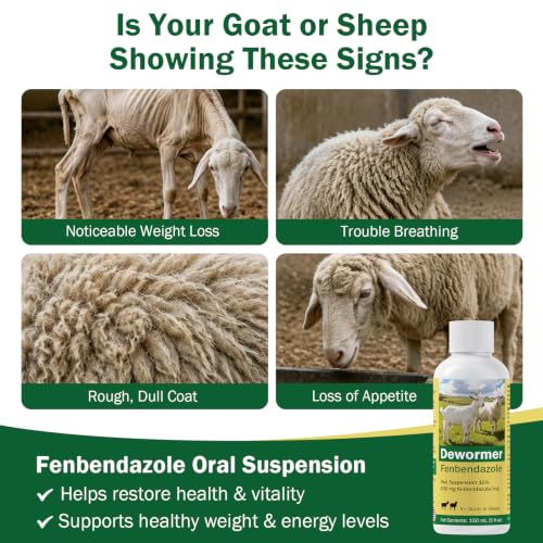 Dewormer for Goats and Sheep with Fenbendazole, Liquid Dewormer | for Roundworms, Lungworms, Tapeworms & More, 150ml