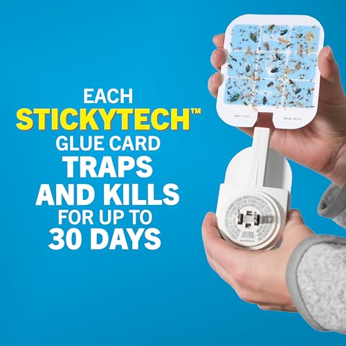 Safer Home Flying Insect Trap, Plug-in Fruit Fly Trap for Indoors, 2-Pack | Flying Insect, Moth, & Gnat Trap, Fruit Fly Killer, Fly Catcher, 24/7 Catch, Chemical-Free, 2 Traps + 2 Glue Cards, SH502-2SR - size: 2 Traps + 2 Glue Cards