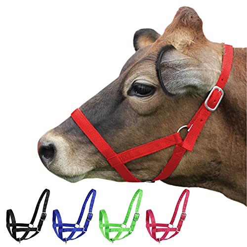 Derby Originals Adjustable Nylon Livestock Cattle Halters - color: Red, size: Large (800-1400lbs)