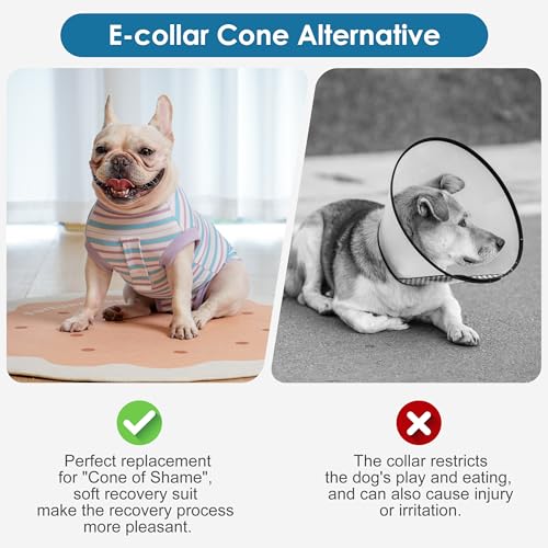 cyeollo Recovery Suit for Dogs Surgery Suit Female Spay Soft Pet Onesie Bodysuit Male Dog Neuter, Small Dogs Surgical Recovery Shirt, Striped, XS - color: 7# Striped, size: X-Small (Back: 9"-11")