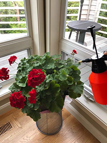 POLYTE One Hand Pump Pressure Sprayer w/Adjustable Nozzle 50 oz / 1.5 Liter | Lawn, Garden, Pest Control