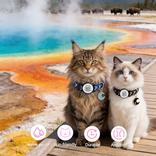 The Ultimate QR Code Pet ID Collar 4-Pack | Breakaway Adjustable Cat Collars with Secure Online Profile | Never Lose Your Cat with Cute Moon & Stars Design (Star & Moons - 4 Pack) - color: Star & Moons - 4 Pack