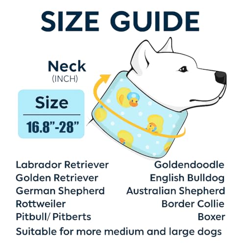 LovinPet Dog Recovery Collar, Adjustable Soft Cone for Medium & Large Dogs, Post-Surgery Comfort & Lick Prevention, Ducks with Hats Print,Blue