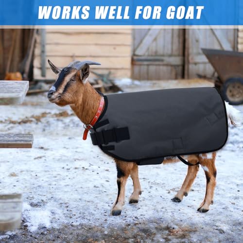 Shinylin Goat Blanket for Winter Sheep & Calf Blanket, Gray, Size XL | Waterproof Goat Blanket with Soft Fleece Lining and Adjustable Straps for Winter Warmth, Show Goats and Pets