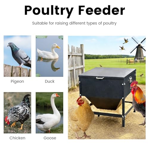 All Metal Chicken Feeding with Waterproof Lid and Handle，Adjustable 80 lbs Large Capacity No Waste Portable Automatic Chicken Feeder,for Chickens and Duck Poultry and Other Birds