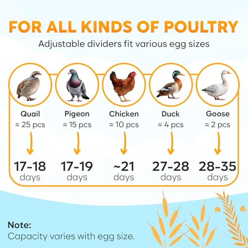 Okkobi M10 Incubator for Hatching Eggs - Ideal for All Ages - Automatic Turner and Humidity Control - Integrated Candler - 10 Eggs - Green & Yellow