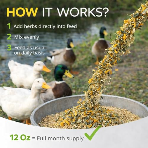 Herb Supplement for Ducks - Natural Waterfowl Treat, Botanical Duck Feed Additive, Plant-Based Flock Support for Egg Production, Feather Health & Daily Wellness, Handcrafted in USA (12 oz)