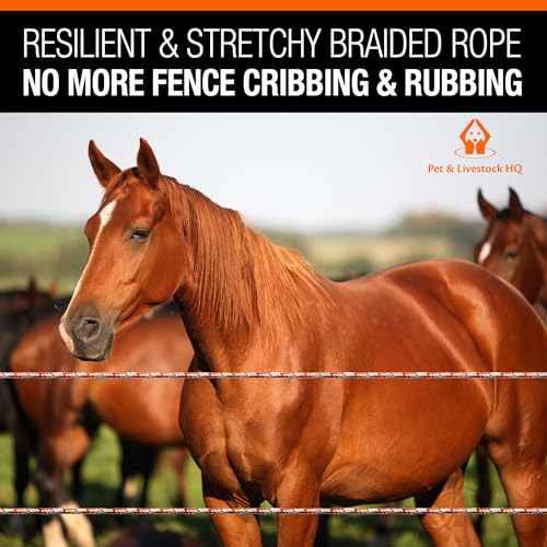 Electric Fence Polybraid 1000ft Thickness 1/4" - Premium Heavy Duty Braided Polyrope - High Visible Rope Fencing for Horse, Cattle, Livestock - 6 Wire Conductors: 2X Cooper and 4X Stainless Steel - size: 1000ft / 305m