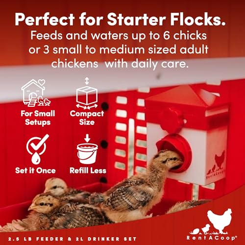 RentACoop Chick2Chicken 2.5lb Medium Port Feeder and 64oz Drinker Set