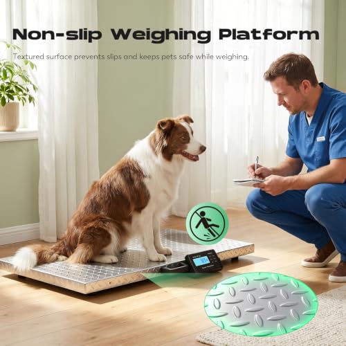 CGOLDENWALL Large Dog Scale 1100lb/0.2lb, Livestock Scale with Platform 40.5"x20.8", Dog Scales for Large Breed Pet Scale