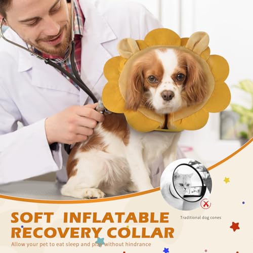 IEUUMLER Inflatable Recovery Dog Collar, Protective Donut Cone, Adjustable Soft Collar for Dog and Cat After Surgery Prevent from Biting & Scratching EU002 - Brown Lion L+ - color: Brown Lion, size: Large + (Neck:18''-20'')