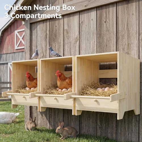 3 Hole Chicken Laying Boxes for Hens | Wood Egg Laying Box, Wall Mounted Nesting Boxes for Chickens, Hens, Ducks, Poultry