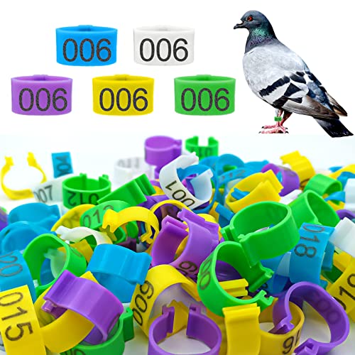 Keedolla 8mm 100Pcs Pigeon Leg Bands Bird Foot Rings with 5 Colors, Pigeon Bands Clip On Leg Rings Poultry Tags for Chicks Bantam Finch Dove Lovebird Quail Small Birds - size: 8mm - 5 Colors