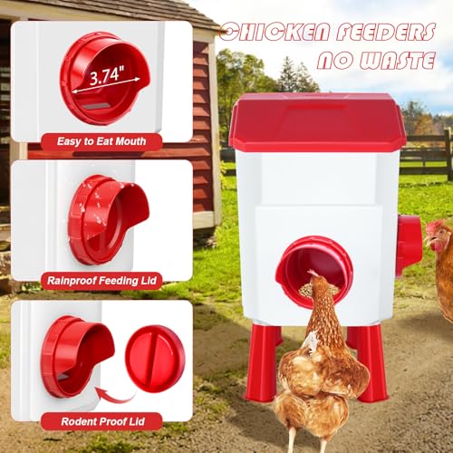 Auto No Waste Chicken Feeder and Waterer Set 2 Gallon/17.6 Pounds | Sturdy & Durable Chick Feeder and Waterer Set, Poultry Feeder Large for Hens/Ducks/Poultry