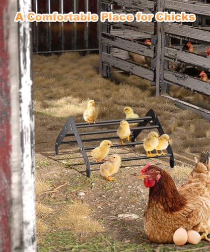 Koutemie Adjustable Chicken Perch for Coop, Small | Chick Roosting Bars for Chickens in Coop and Brooder, Baby Chicks Toys Training Supplies for Bird Parrot Hens Macaw