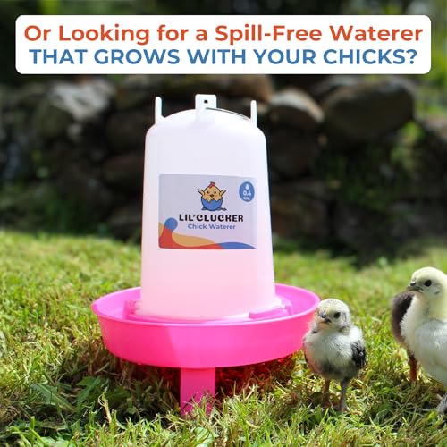 Lil'Clucker 1L Chick Feeder, 1.5L Chicken Waterer - No Leakage Chick Feeder and Waterer Kit, Durable Chicken Water Feeder, Chicken Feeder and Waterer Set, Poultry Waterer (Pink) - color: Pink