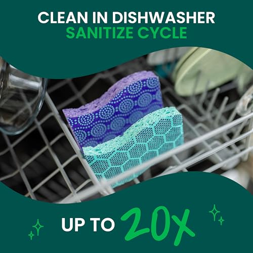 Scotch-Brite Odor Resist Non-Scratch Scrub Sponge, Dishwasher-Safe Kitchen Sponges that Resist Bacterial Odors, Multipurpose Dish Sponge for Gentle Cleaning, 24 Dish Sponges
