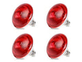 4 Pack 250W Chicken Heat Lamp Bulbs, Infrared Heat Lamp for Chickens, Heat Light Bulb for Brooder Coop, Food Service, Chicks, Pet, Reptile