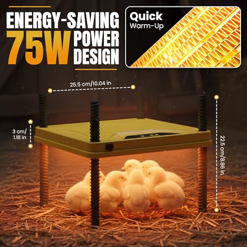 Heating Plate for Chick Brooder Adjustable 75W Chicken Heat Plate 10 x 10 Inch Warmer Brooder Heater for 10-12 Chicks ABC Plastic Material