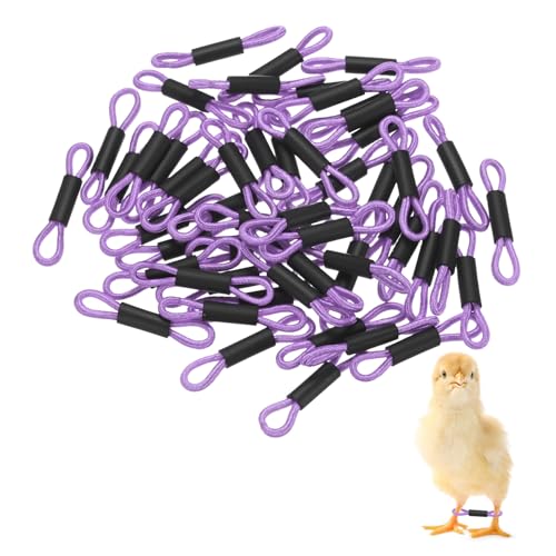 M METERXITY 50-Pack Adjustable Chick Leg Bands, 1.38" x 0.2" Polyester Chicken Leg Brace for Chicks/Ducks/Birds [Purple] Poultry Leg Bands - color: Purple
