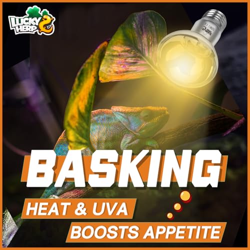 LUCKY HERP Heat Lamp Bulbs, UVA Intense Basking Spot Light Reptile Heat Lamp(Clear) 50W, Simulated Natural Sunlight Heat Lamp Bulbs for Reptile, Bearded Dragon, Amphibian, Turtle, Snake, Lizard - color: Clear Reptile Heat Lamp, size: 50W 1-Pack