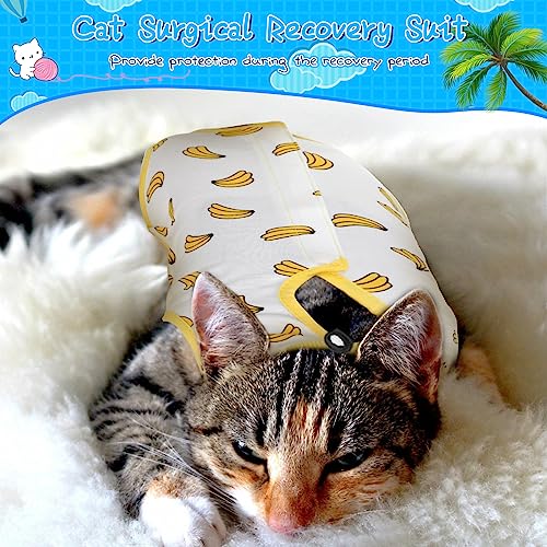 Kacctyen 6 Pack Cat Recovery Suit After Surgery Anti Licking | 6 Pack Cat Recovery Suit After Surgery Anti Licking,Fruit,Large - size: Large, style: Fruit