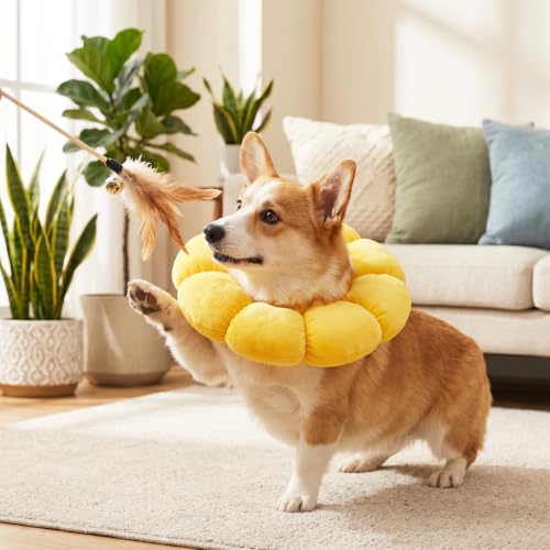 Soft Dog Cone Alternative Elizabethan Collar Anti-Bite Lick Cat Cone | Comfortable, Adjustable Size, Doesn't Obstruct View, Easy to Clean, for Dogs Cats Recovery