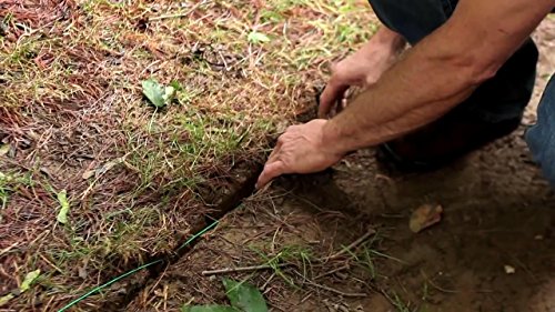 20 Gauge Electric Dog Fence Wire 1000 ft - Underground Boundary Wire | Solid copper core, poly jacket, direct burial; fits Extreme Dog Fence & all in-ground systems; expand or repair - size: 1000 Feet
